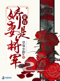家有娇妻是将军小说全文免费阅读下载