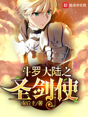 斗罗之圣剑使顶点