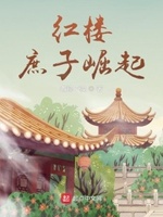 红楼:庶子崛起