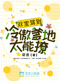 双宝驾到:冷傲爹地太能撩
